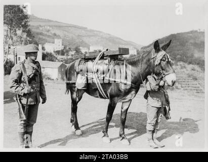 WW1 première Guerre mondiale - Mule et les hommes à l'école de mortier de tranchée, Italie Banque D'Images