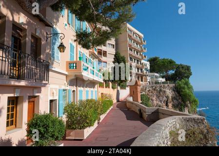 principauté de Monaco, vue sur le port depuis la place du palais, le musée océanographique et le quartier de fontvieille depuis le jardin exotique Banque D'Images