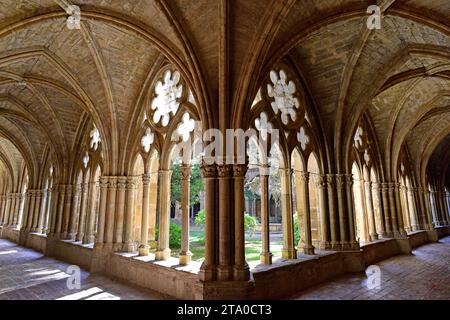 Abbaye de Veruela (Real Monasterio de Santa María de Veruela), cistercienne du 12th siècle. Cloître. Vera de Moncayo, Saragosse, Aragón, Espagne. Banque D'Images