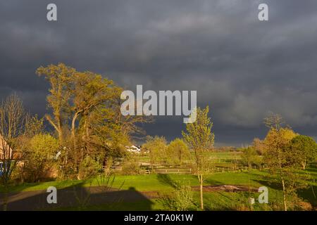 kreis soest, kreis soest in bildern, landkreis soest, nrw, deutschland, tiere, pflanzen, architektur, blumen, lippeauen, naturfotografie, radeaux terrestres Banque D'Images