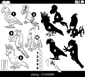 Illustration de dessin animé noir et blanc de trouver les ombres à droite pour le jeu éducatif d'images avec des perroquets oiseaux animaux personnages page à colorier Illustration de Vecteur