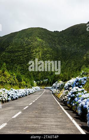 Capturer la beauté à couper le souffle des Açores, Portugal : un voyage inoubliable à travers les paysages étonnants de ce paradis atlantique Banque D'Images