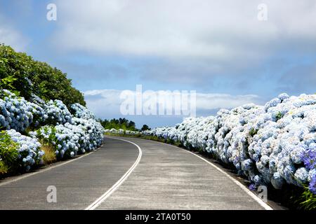 Capturer la beauté à couper le souffle des Açores, Portugal : un voyage inoubliable à travers les paysages étonnants de ce paradis atlantique Banque D'Images
