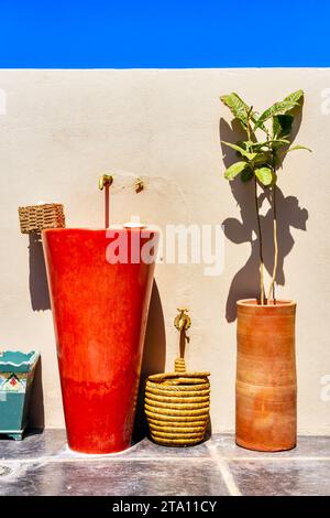 Déco plantes évier et contre un mur dans un pays méditerranéen. Banque D'Images