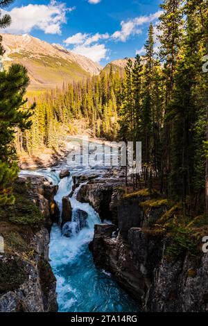 Upper Sunwapta Falls, Icefields Parkway, près de Jasper, Alberta, Canada Banque D'Images