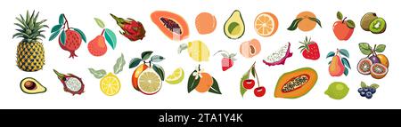 Ensemble de vecteurs de fruits abstraits dessinés à la main isolé. Illustration de Vecteur