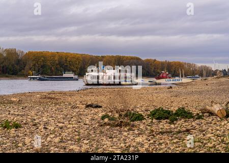 Niederkassel, Rhénanie-du-Nord-Westphalie, Allemagne - 31 octobre 2021 : navires sur le Rhin à Mondorf Banque D'Images