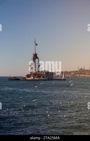 Mouette volant près de tour de la jeune fille à Istanbul, Turquie Banque D'Images