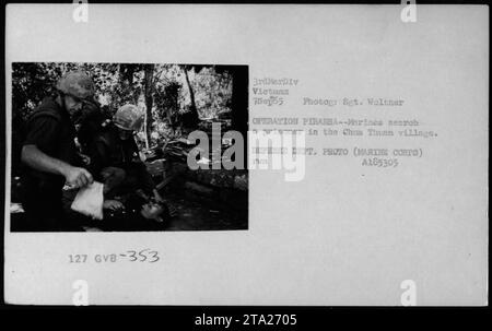 Les Marines AMÉRICAINS fouillent un prisonnier dans le village de Chua Thuan pendant l'opération Piranha. La photographie a été prise en 1965 par le sergent Woltner et fait partie de la collection documentant les activités militaires américaines pendant la guerre du Vietnam. Banque D'Images