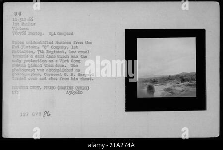 Trois Marines non identifiés de la 1e Division des Marines au Vietnam se mettent à couvert derrière une dune de sable alors qu'ils sont pris dans une embuscade Viet Cong. La photographie, prise le 7 novembre 1966, capture l'intensité des combats alors que les Marines cherchent refuge. Photo du caporal G. R. Gaspard. Banque D'Images