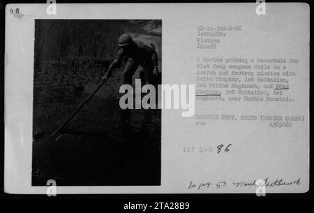 Soldats de la marine à la recherche d'armes Viet Cong potentielles près de Marble Mountain. Les soldats mènent une mission de recherche et de destruction dans le cadre de la compagnie Delta, 1st Marine Division, et de la compagnie Mike, 3rd Battalion, 1st Marine Regiment. Cette photo a été prise le 8 novembre 1966, pendant la guerre du Vietnam. Banque D'Images