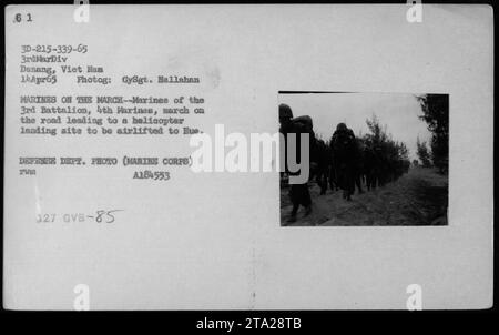 Des Marines du 3e Bataillon, 4e Marines, sont vus marchant vers un site d'atterrissage d'hélicoptère pour le transport à Hue, Vietnam le 14 avril 1965. Cette photographie a été prise par GySgt. Hallahan du corps des Marines des États-Unis. L'image est classée A184553 et montre la 3e Division des Marines en action pendant la guerre du Vietnam. Banque D'Images