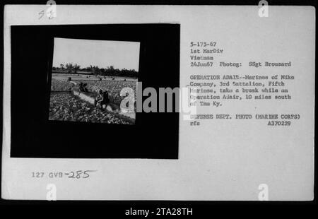 Marines de Mike Company, 3e bataillon, 5e Marines, au repos pendant l'opération Adair le 24 juin 1967, à 10 miles au sud de Tam Ky. La photographie, prise par le SSgt Brousard, capture un moment de sursis pour les troupes au cours de leurs patrouilles au Vietnam. Banque D'Images