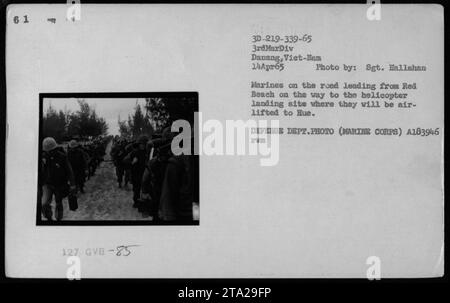 Des marines sur leur chemin vers Hue sont vus marcher le long de la route menant de Red Beach au site d'atterrissage de l'hélicoptère. Cette photo capture une scène pendant un combat au Vietnam, prise le 14 avril 1965 par le sergent Hallahan. L'image a été publiée par le ministère de la Défense et est désignée A183946 TVB. Banque D'Images