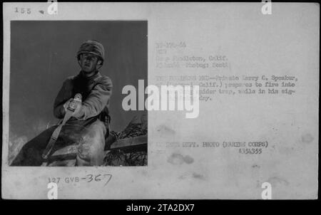 Le soldat Larry C. Speaker, de Parood, en Californie, se prépare à tirer sur un piège à araignée Viet Cong au cours d'un exercice d'entraînement au Camp Pendleton, en Californie, le 23 juin 1966. Banque D'Images