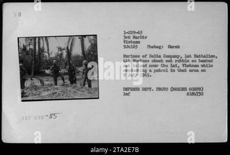 Les Marines de la compagnie Delta, 1e bataillon, 4e Marines évaluent les dégâts sur une île bombardée près de Chu Lai, Vietnam le 9 juillet 1965. Les Marines effectuaient une patrouille quand ils ont rencontré les décombres. Cette photographie a été prise par un photographe militaire du Département de la Défense. Banque D'Images