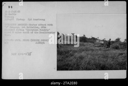 Les US Marines de la compagnie, 1e Bataillon, 26e Régiment se mettent à couvert lors d'une attaque au mortier en participant à l'opération Prairie le 19 septembre 1966. L'opération a été menée à environ 2 miles au sud de la zone démilitarisée au Vietnam. Photo prise par le Cpl Armstrong.' Banque D'Images