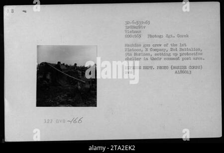 Équipage de mitrailleuses marines du 1e peloton, compagnie B, 2e Bataillon, 9e Marines, érigeant un abri dans la zone de leur poste de commandement au Vietnam. Photo prise le 20 octobre 1965. (Source : Département de la défense des États-Unis, A186013 Zum) Banque D'Images