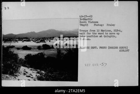 Les troupes des 12 Marines, RLT-4, attendent les ordres de se mettre en position à Quingtin, Vietnam le 7 mai 1965. Cette photographie montre les activités militaires américaines pendant la guerre du Vietnam. Photo prise par Fraley, du ministère de la Défense. (Marine corps) A184,187 127 GVB. Banque D'Images