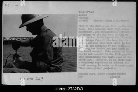 Une image prise le 27 février 1967, représente GySgt.G.M.Cameron aux côtés du sous-officier, sagt. James Biedenycki. Ils ont été vus jetant un explosif THT avec un fusible de type pull dans la rivière Song Ceu Do au cours d'une opération militaire. Les poissons étourdis qui flottent à la surface sont collectés par les villageois de Phong Bee Hamlet et vendus aux enchères sur le marché local comme mesure temporaire pour stimuler l'économie locale pour d'autres projets. » Banque D'Images