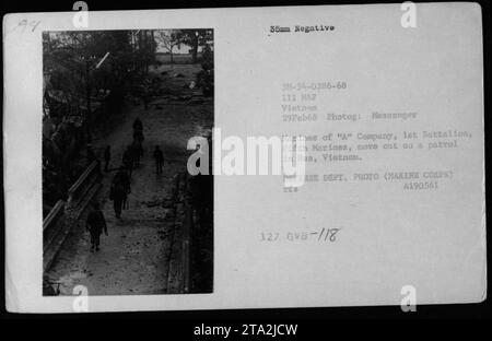 Marines de la compagnie 'A', 1e bataillon, 5e Marines, effectuant une patrouille à Hue, Vietnam pendant l'opération Hue City le 29 février 1968. Cette photographie montre les soldats qui partent en patrouille. C'est une photo du ministère de la Défense prise par Messenger Marinas. (Légende basée sur les informations disponibles) Banque D'Images