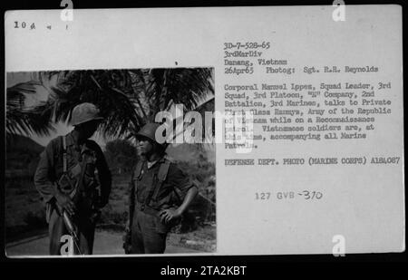 Caporal Manuel Lopez, chef d'escouade de la compagnie 'E', 2e bataillon, 3e Marines, est vu en conversation avec le soldat de première classe Ranmyz de l'armée de la République du Vietnam (ARVN) lors d'une patrouille de reconnaissance. Des soldats vietnamiens accompagnaient les patrouilles des Marines pendant cette période au Vietnam. (Photographie du ministère de la Défense DES ÉTATS-UNIS, 26 avril 1965) Banque D'Images