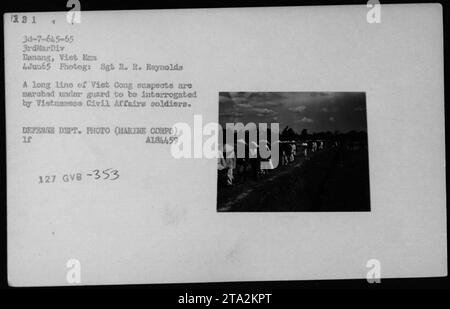 Une ligne de suspects Viet Cong est escortée par des gardes pour être interrogée par des soldats vietnamiens des Affaires civiles dans une base militaire. Cette photographie a été prise le 4 juin 1965 par le Sgt R. R. Reynolds à Danang, au Vietnam, pendant les opérations militaires américaines de la guerre du Vietnam. Banque D'Images