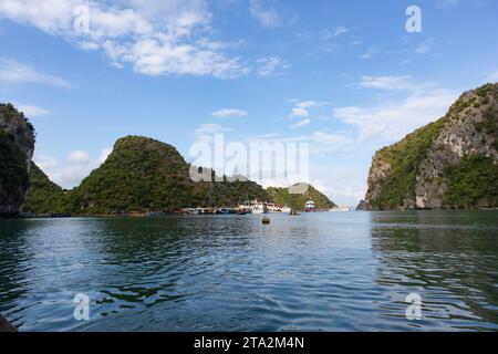 Bateaux à Halong Bay, Vietnam Banque D'Images