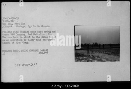 Les Marines de la compagnie P, 2e bataillon, 4e Marines se déplacent prudemment le long des digues des rizières inondées tout en menant une opération pour nettoyer une île Viet Cong au large de Chu lui, Vietnam le 30 mai 1965. Les hélicoptères sont vus en arrière-plan. Cette photo a été prise par le Sgt L. D. Choate du Département de la Défense des États-Unis. Banque D'Images