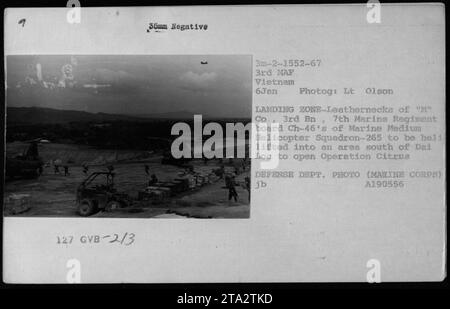 Des Marines de la compagnie 'M', 3e bataillon, 7e régiment de Marines, sont vus à bord d'hélicoptères CH-46 du Marine Medium Helicopter Squadron-265 dans une zone de débarquement au Vietnam en janvier 1967. Les Marines étaient héliportés dans une zone au sud de Dai Loc pour commencer l'opération Citrus. Cette photographie a été prise par le lieutenant Olson et est une photo officielle du ministère de la Défense. Banque D'Images