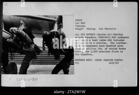 Marine All-Weather Attack Squadron (VMA (AW))-242 hommes d'artillerie préparent un avion à réaction A6A Intruder chargé de bombes pour une mission. Plus de 25 millions de livres de bombes diverses ont été manipulés par les hommes de commandement de l'escadron au cours de 3 000 missions effectuées. Cette photo a été prise le 4 août 1967 au Vietnam. (Photographe : Cpl Marcurio) Département de la Défense Photo (Marine corps). Banque D'Images