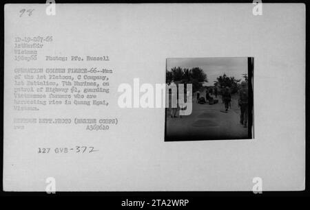 1e peloton de la compagnie C, 1e bataillon, 7e Marines patrouillant la route 1 à Quang Egal, Vietnam, dans le cadre de l'opération Golder Firsce-66. Ils assurent la protection des agriculteurs vietnamiens pendant la récolte du riz. Photographie prise le 19 septembre 1966 par le CPF Russell, 1e Division maritime. Photo du détachement de la Défense (corps des Marines) A369610 127 GVB-377. Banque D'Images