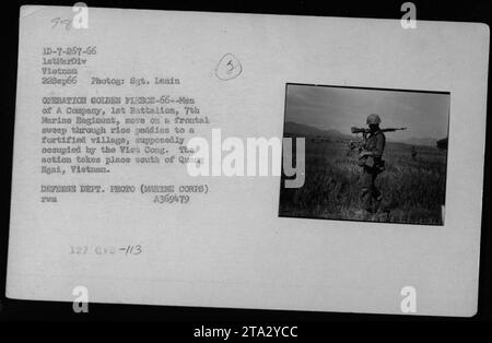 Les Marines AMÉRICAINS de La compagnie A, 1e bataillon, 7e régiment de Marines, participent à l'opération Golden Toison le 22 septembre 1966. L'image capture les Marines effectuant un balayage frontal à travers les rizières à la recherche d'un village fortifié qui semble occupé par les Viet Cong. Cette action a eu lieu au sud de Quang Ngai, Vietnam. Photographie prise par le sergent Lénine et publiée par le ministère de la Défense. Banque D'Images