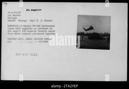 Les hélicoptères UH-34D ravitaillent les troupes de la 5e cavalerie blindée de l'armée. Les soldats observent l'atterrissage de l'hélicoptère de ravitaillement depuis leur véhicule blindé de transport de troupes. Cette image a été prise le 4 mars 1968, pendant la guerre du Vietnam, par le Lcpl D. J. Brusch. C'est une photo du ministère de la Défense, créditée au corps des Marines. Banque D'Images