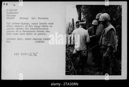 Légende : le 8 février 1967, pendant la guerre du Vietnam, le Cpl Luthor Hazzay, un chef d'escouade de la 3e MarDiv, est vu avec les membres de son escouade vérifier les papiers d'identité d'un agriculteur vietnamien qu'ils ont rencontré en patrouille. Cette image illustre le rôle important des interprètes/interrogateurs dans les activités militaires. (Photographe : Cpl Ferreira, photo du département de la Défense) Banque D'Images