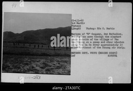 Les Marines de la compagnie H, 2e bataillon, 3e Marines effectuant une mission de balayage et de dégagement le long de la rivière CA de près du village de Pho Nam Thuong, à environ 15 miles au nord-ouest de la piste d'atterrissage de Danang. La photographie capture les troupes se déplaçant à travers l'herbe à éléphant le 13 août 1965. Attribution : photographe - PFE G. Durbin, Département de la Défense Photo (Marine corps). Banque D'Images