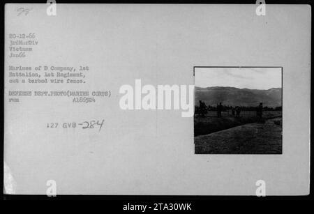 Des Marines de la compagnie D, 1e bataillon, 1e régiment, ont été vus couper une clôture de fil de fer barbelé pendant des patrouilles au Vietnam. Cette photographie a été prise en janvier 1966, par le ministère de la Défense. Banque D'Images