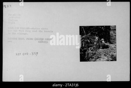 A Marine démontre l'utilisation des tunnels Viet Cong dans le village de Dong Eon, Vietnam en août 1965. Cette image, prise par l'unité de photographie du ministère de la Défense, montre l'avantage stratégique que le Viet Cong avait dans l'utilisation du réseau souterrain. Source : Marthe corps A184933 127 GVB-359. Banque D'Images