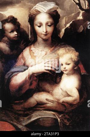 Madonna avec l'enfant Christ et Saint Jean Baptiste vers 1540 par Domenico Beccafumi Banque D'Images