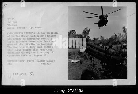 Le Marine Heavy Helicopter Squadron 463 fournit un réapprovisionnement d'urgence en munitions obusiers de 105 mm pour le 11e régiment de Marines lors de l'opération Cochise au Vietnam, août 1967. L'unité d'artillerie des Marines a tiré plus de 1 000 coups sur les positions Viet Cong le premier jour. Photographie prise par le Cpl Coven. Photo du département de la Défense (corps des Marines).' Banque D'Images