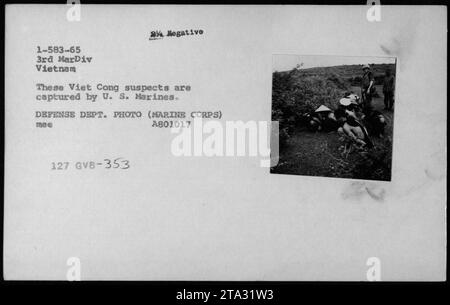 Les suspects Viet Cong sont appréhendés par les Marines américains pendant la guerre du Vietnam. Cette photographie capture le moment de leur capture, les montrant comme des prisonniers sous la garde des Marines. L'image a été prise en 1965 par le photographe du Département de la Défense de la 3e Division Marine au Vietnam. Nombre négatif : 1-583-65. Banque D'Images