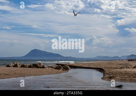 Une mouette survole la rivière qui se jette dans la mer sur une plage de Miramar, en Espagne, dans la Communauté autonome de Valence Banque D'Images