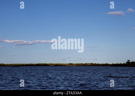 Lac espagnol d'Albufera au-dessus duquel vole une chaîne d'oiseaux Banque D'Images