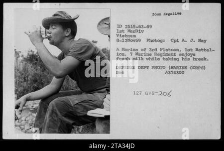 Marine du 1e Bataillon, 7e Régiment de Marines, du 3e peloton, 1e Division de Marines, apprécie du lait frais lors d'une pause le 8 novembre 1969 au Vietnam. La photographie a été prise par le Cpl A. J. May et fait partie de la collection du ministère de la Défense. (Légende : Marine fait une pause et apprécie du lait frais pendant son service au Vietnam.) Banque D'Images