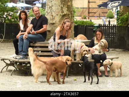 New York, États-Unis - 30 mai 2018 : des gens marchent des chiens à Madison Square Dog Run à New York. Banque D'Images