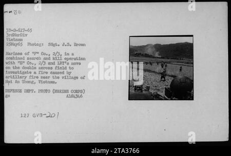 Les Marines of 'Co., 2/3, mènent une opération de recherche et de meurtre près du village de Hoi an Trong, Vietnam. Dans cette photographie du 25 mai 1965, ils sont vus se déplaçant rapidement à travers un champ pour enquêter sur un incendie causé par des tirs d'artillerie. Cela faisait partie d'un effort coordonné avec 'Co., 2/3 et LVT pendant la guerre du Vietnam. Source de l'image : DEFENSE DEPT. PHOTO (MARINE CORPS) A184,346 127 GVB-201.' Banque D'Images