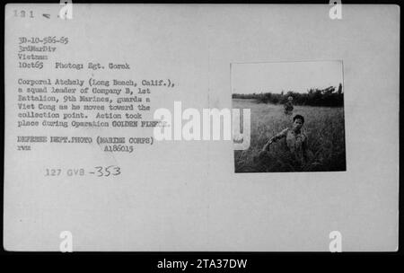 Légende : le caporal Atchely, chef d'escouade de la compagnie B, 1e Bataillon, 9e Marines, garde un suspect Viet Cong alors qu'il est déplacé vers le point de collecte pendant l'opération TOISON D'OR. Cette photographie a été prise le 1 octobre 1965 par le sergent Gorak, documentant les activités militaires américaines pendant la guerre du Vietnam. Il fait partie de la collection de photos du ministère de la Défense (corps des Marines) A1860.15 XVM 127 GVB-353. Banque D'Images