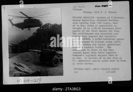 Les Marines de la batterie F, deuxième bataillon, onzième Marines, supervisent la livraison de munitions via un hélicoptère de transport CH-53 pendant l'opération TAYLOR COMMON. Les hélicoptères, exploités par le Commandement logistique de la Force, aident à fournir un appui-feu près de la frontière laotienne. Les munitions sont transportées d'un point d'approvisionnement du FLC près de Da Nang à l'unité de soutien logistique du Commandement logistique de la Force à an Hoa.' Banque D'Images