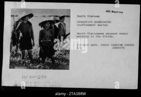 'Des paysannes nord-vietnamiennes travaillant dans les champs pendant l'opération Homecoming, une mission de rapatriement pour les prisonniers de guerre américains au Vietnam. Cette photographie a été prise pendant la série confinement, montrant les activités quotidiennes des habitants au milieu des activités militaires en cours. DEPT. DÉFENSE PHOTO (MARINE CORPS) ECC A900170' Banque D'Images