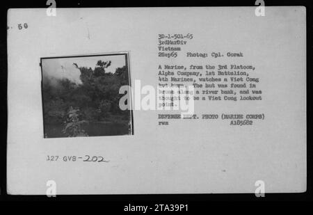 Un Marine, du 3e peloton, compagnie Alpha, 1e Bataillon, 4e Marines, observe une cabane appartenant au Viet Cong brûler. La cabane a été découverte en brousse le long d'une rive de rivière et a été soupçonnée d'être un point de vue pour les Viet Cong. Cette photo a été prise le 2 septembre 1965, pendant la guerre du Vietnam. Banque D'Images